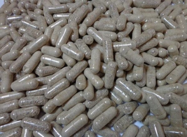100 Microdose Capsules 500mg